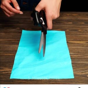 Meet your Posher, Balraj